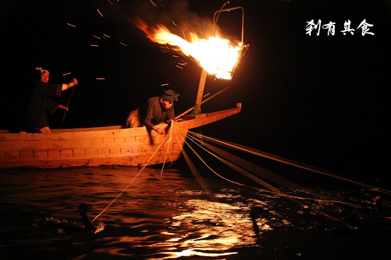 [岐阜旅遊景點] 長良川鵜飼捕魚 @皇室御用且傳承一千年的古老捕魚技術