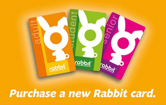 rabbit CARD