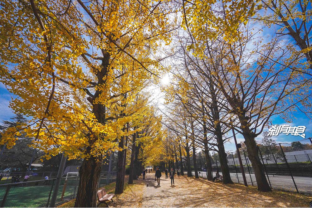 東京親子景點 | 國立昭和紀念公園 超美銀杏大道 還有兒童森林超好玩 (門票/地圖/日本電車轉乘網站推薦)