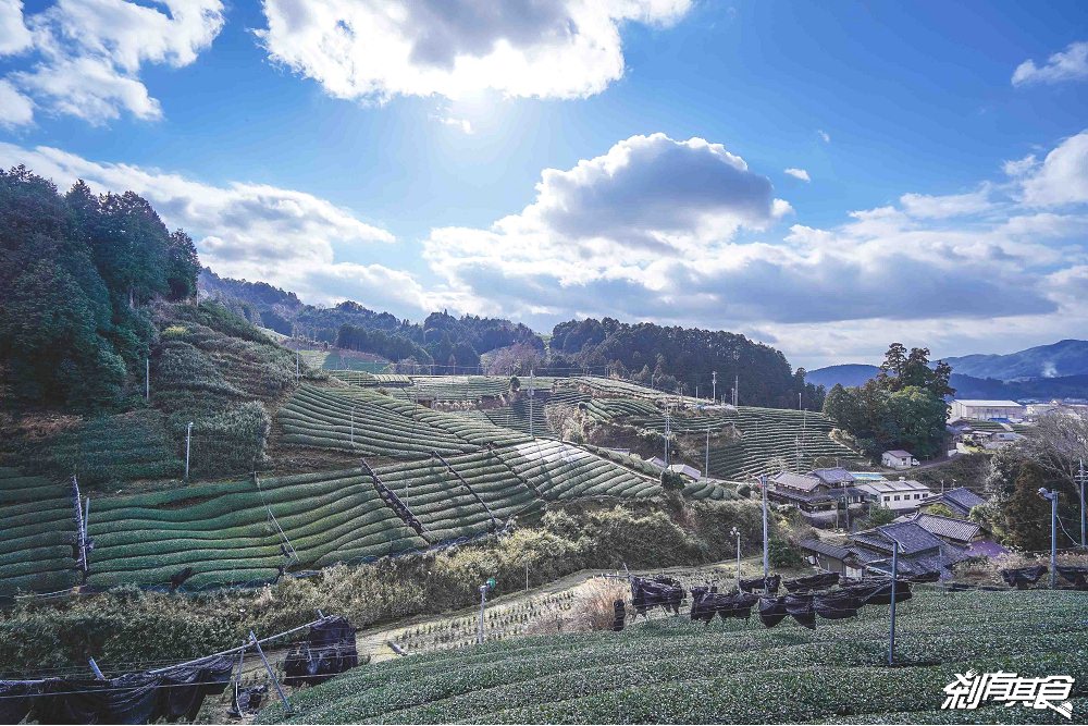 茶農家民宿ENUTOENU | 京都美食 茶之京都深度旅行 茶農家體驗一日茶農 飯後還有茶歌舞伎猜謎
