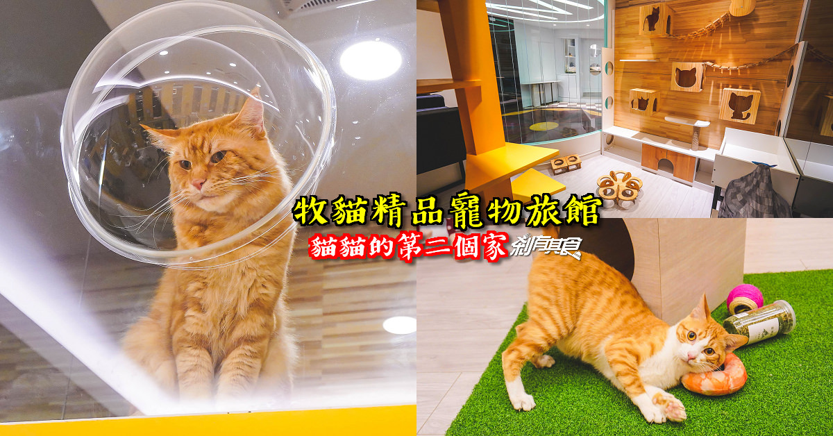 牧貓寵物精品旅館 | 台南貓旅館 全台最大貓旅館 每間都有遊戲跳台 獨立抽風設備 居然還有全省接送服務 根本就是貓貓天堂啊！