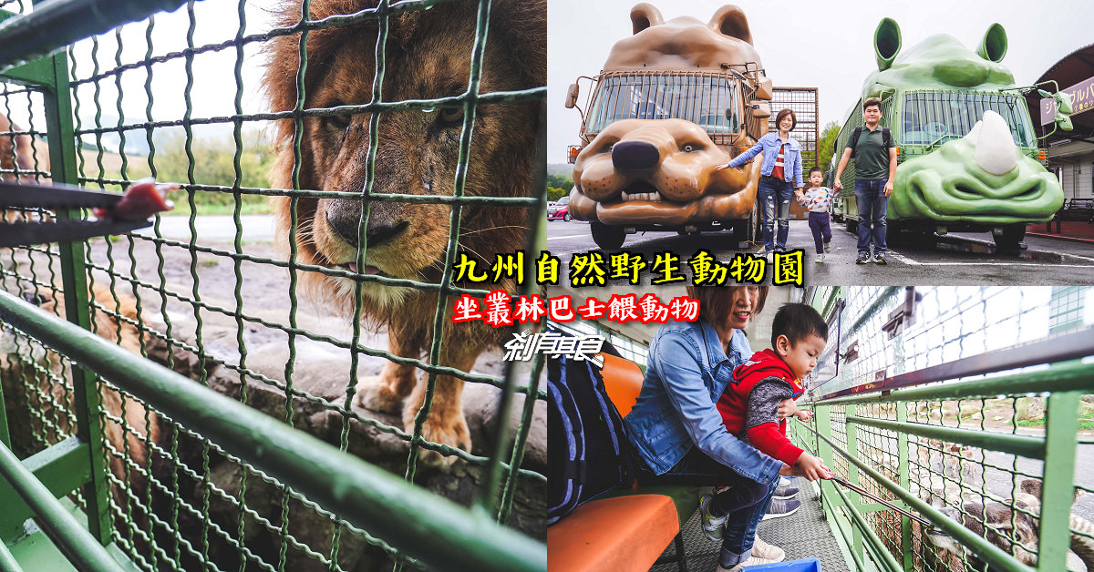 九州自然野生動物園 | 九州親子景點 坐叢林巴士餵食獅子好好玩！(叢林巴士線上預約方法/影片)