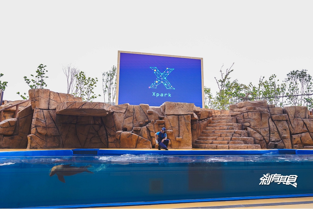 Xpark水族館 | 桃園景點 8/7開幕，購票、亮點搶先看 海豹魟魚水豚還有「Xcafe」企鵝陪你吃飯 (影片)