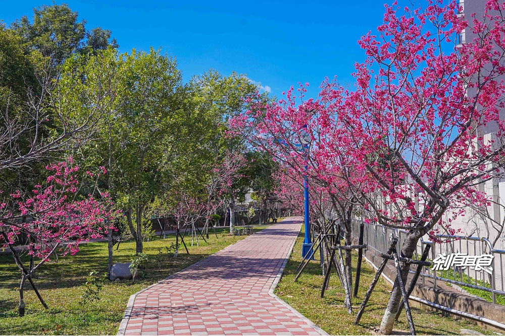 麗園公園 | 台中特色公園 隱藏在公園裡的櫻花大道 還有沙坑、運動場