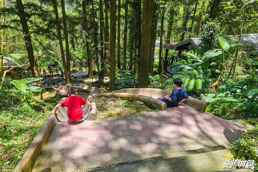 鳳凰谷鳥園生態園區 | 南投親子景點 「森林溜滑梯、吊橋瀑布」還有隱藏版活動「餵小鸚鵡」