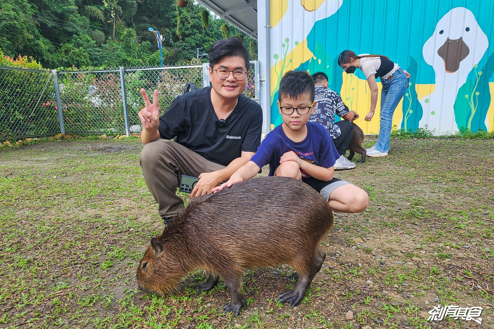 享日啡啡 | 埔里美食 最新水豚咖啡廳 可愛水豚、柯爾鴨陪你吃下午茶