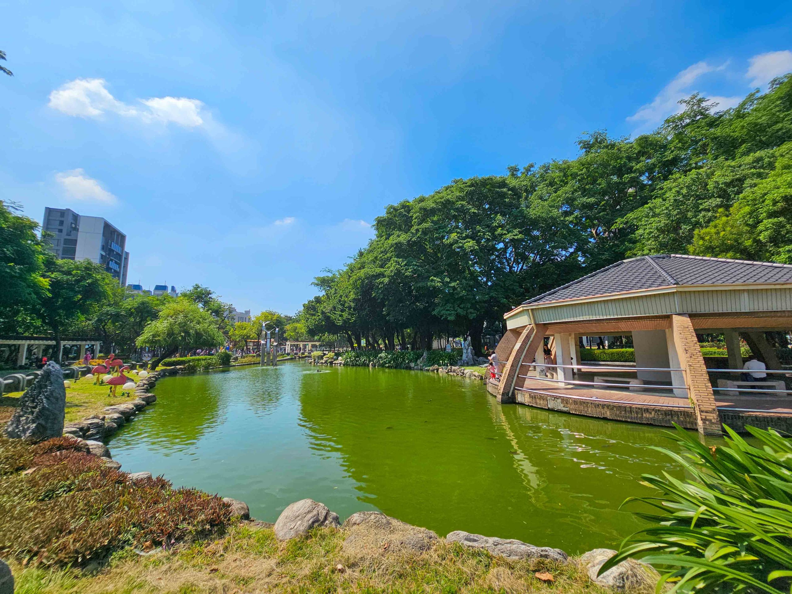 台中北屯兒童公園 | 台中特色公園 林間探索遊戲場超好玩 還有松鼠、鴿子 假日放電好去處