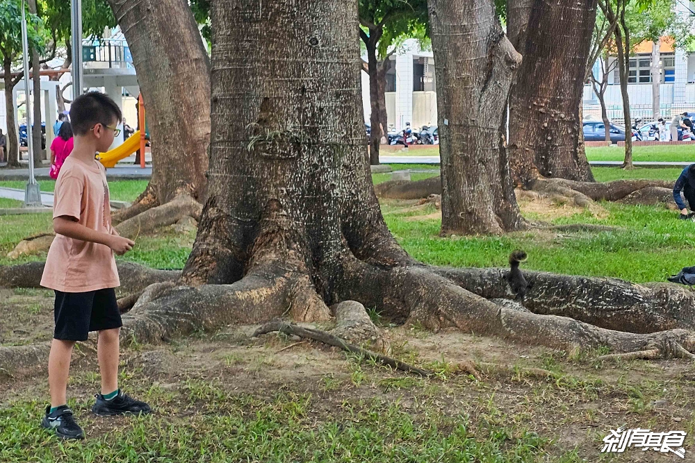 台中北屯兒童公園 | 台中特色公園 林間探索遊戲場超好玩 還有松鼠、鴿子 假日放電好去處