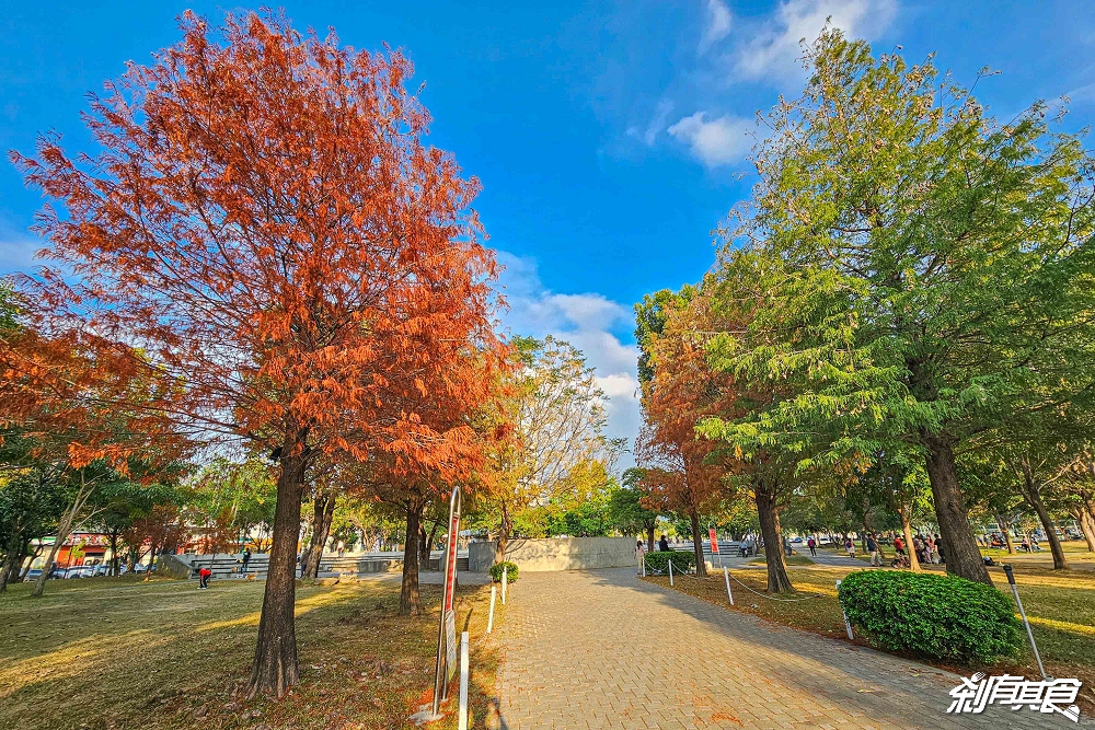 南興公園 | 台中特色公園 「大樹原野遊戲場」新完工 米奇樹公園大變身