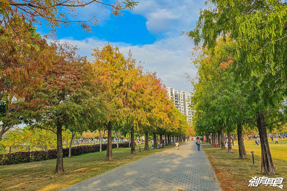 南興公園 | 台中特色公園 「大樹原野遊戲場」新完工 米奇樹公園大變身