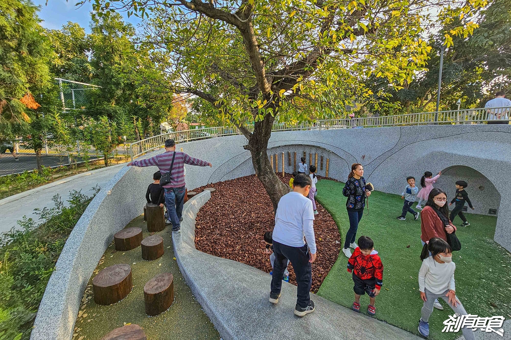 南興公園 | 台中特色公園 「大樹原野遊戲場」新完工 米奇樹公園大變身