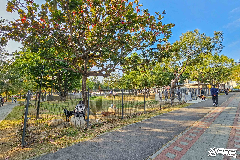 南興公園 | 台中特色公園 「大樹原野遊戲場」新完工 米奇樹公園大變身