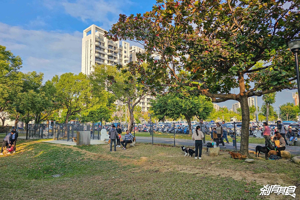 南興公園 | 台中特色公園 「大樹原野遊戲場」新完工 米奇樹公園大變身