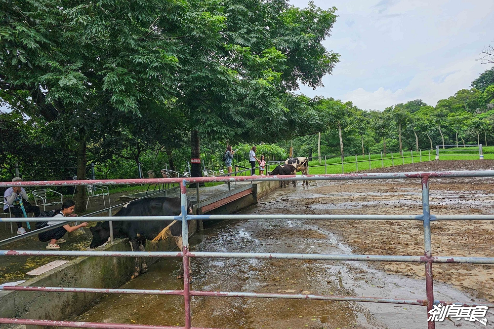 日月山景休閒農場,彰化親子景點,近距離餵食乳牛、山羊還有鮮奶霜淇淋,免費入園好停車 日月山景休閒農場,彰化親子景點,近距離餵食乳牛、山羊還有鮮奶霜淇淋,免費入園好停車