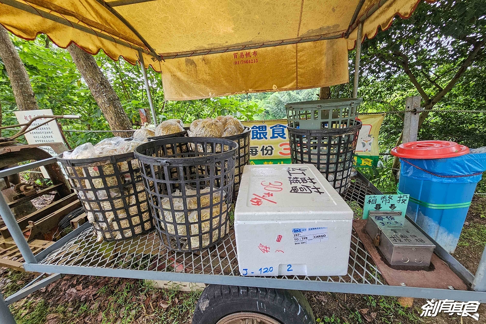 日月山景休閒農場,彰化親子景點,近距離餵食乳牛、山羊還有鮮奶霜淇淋,免費入園好停車 日月山景休閒農場,彰化親子景點,近距離餵食乳牛、山羊還有鮮奶霜淇淋,免費入園好停車