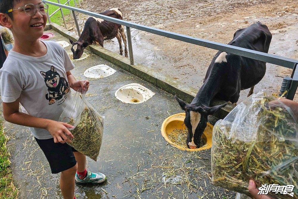 日月山景休閒農場,彰化親子景點,近距離餵食乳牛、山羊還有鮮奶霜淇淋,免費入園好停車 日月山景休閒農場,彰化親子景點,近距離餵食乳牛、山羊還有鮮奶霜淇淋,免費入園好停車