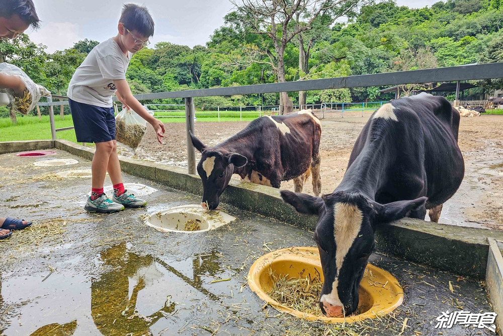 日月山景休閒農場,彰化親子景點,近距離餵食乳牛、山羊還有鮮奶霜淇淋,免費入園好停車 日月山景休閒農場,彰化親子景點,近距離餵食乳牛、山羊還有鮮奶霜淇淋,免費入園好停車