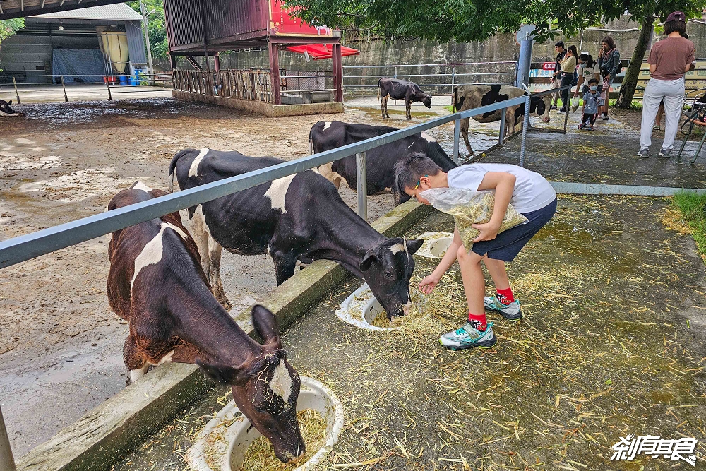 日月山景休閒農場,彰化親子景點,近距離餵食乳牛、山羊還有鮮奶霜淇淋,免費入園好停車 日月山景休閒農場,彰化親子景點,近距離餵食乳牛、山羊還有鮮奶霜淇淋,免費入園好停車