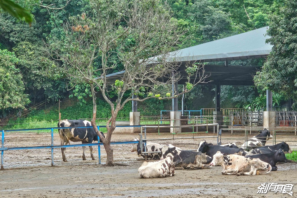 日月山景休閒農場,彰化親子景點,近距離餵食乳牛、山羊還有鮮奶霜淇淋,免費入園好停車 日月山景休閒農場,彰化親子景點,近距離餵食乳牛、山羊還有鮮奶霜淇淋,免費入園好停車