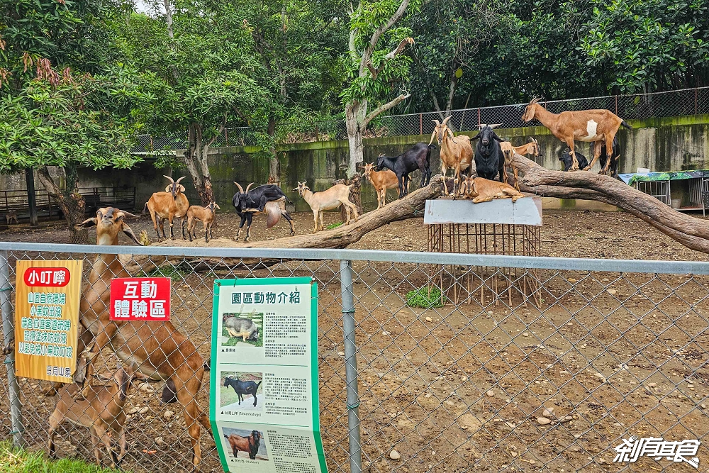 日月山景休閒農場,彰化親子景點,近距離餵食乳牛、山羊還有鮮奶霜淇淋,免費入園好停車 日月山景休閒農場,彰化親子景點,近距離餵食乳牛、山羊還有鮮奶霜淇淋,免費入園好停車