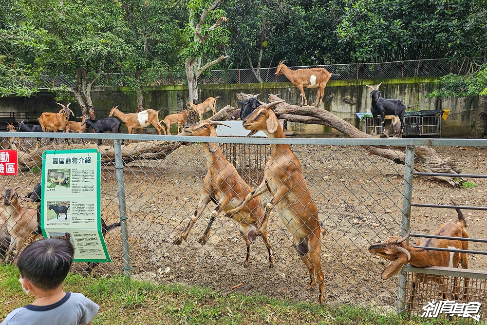 日月山景休閒農場,彰化親子景點,近距離餵食乳牛、山羊還有鮮奶霜淇淋,免費入園好停車 日月山景休閒農場,彰化親子景點,近距離餵食乳牛、山羊還有鮮奶霜淇淋,免費入園好停車