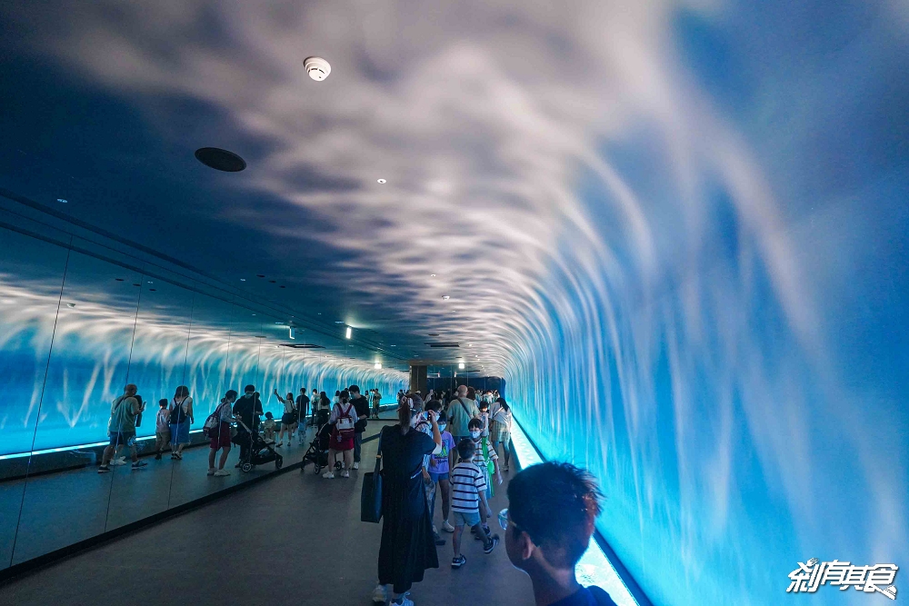 台中海洋館,中部首座水族館 開幕實逛心得、票價、必看景點、交通、附近景點懶人包 台中海洋館,中部首座水族館 開幕實逛心得、票價、必看景點、交通、附近景點懶人包