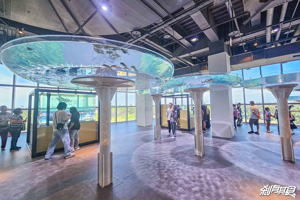 台中海洋館,中部首座水族館 開幕實逛心得、票價、必看景點、交通、附近景點懶人包 台中海洋館,中部首座水族館 開幕實逛心得、票價、必看景點、交通、附近景點懶人包