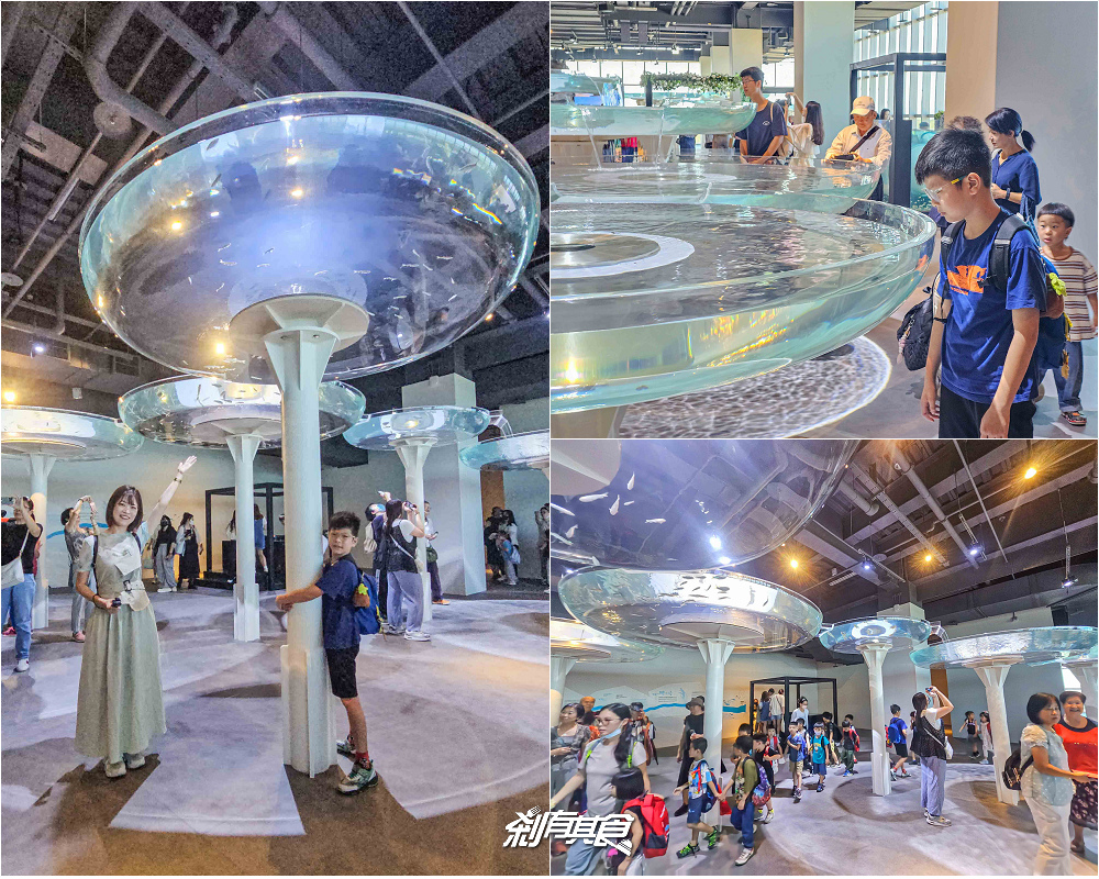 台中海洋館,中部首座水族館 開幕實逛心得、票價、必看景點、交通、附近景點懶人包 台中海洋館,中部首座水族館 開幕實逛心得、票價、必看景點、交通、附近景點懶人包