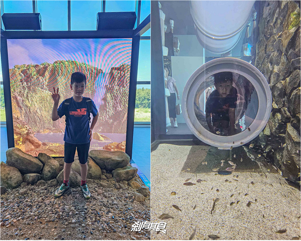 台中海洋館,中部首座水族館 開幕實逛心得、票價、必看景點、交通、附近景點懶人包 台中海洋館,中部首座水族館 開幕實逛心得、票價、必看景點、交通、附近景點懶人包