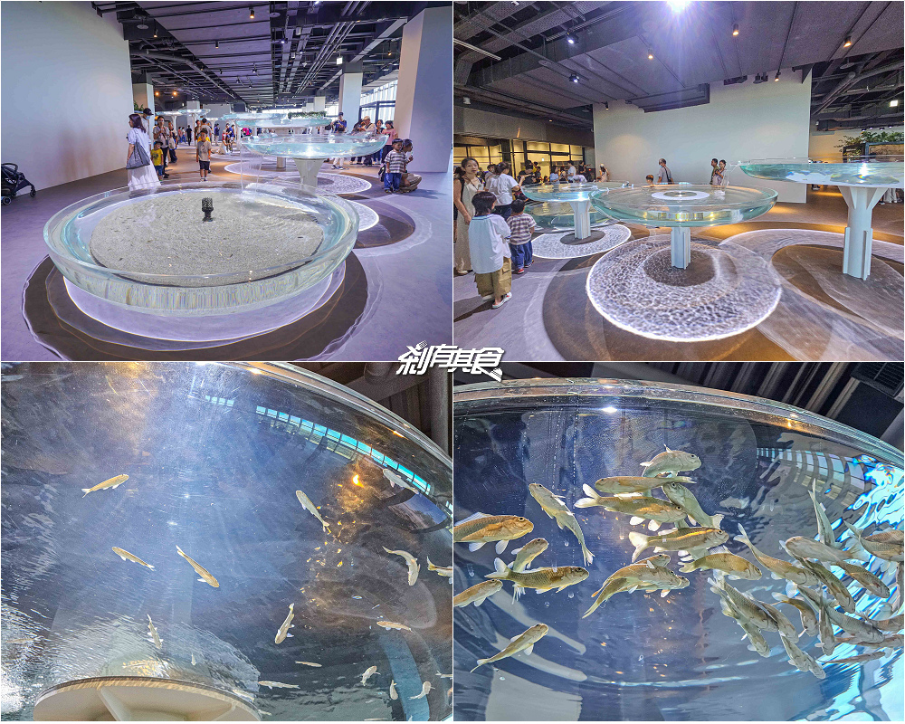 台中海洋館,中部首座水族館 開幕實逛心得、票價、必看景點、交通、附近景點懶人包 台中海洋館,中部首座水族館 開幕實逛心得、票價、必看景點、交通、附近景點懶人包