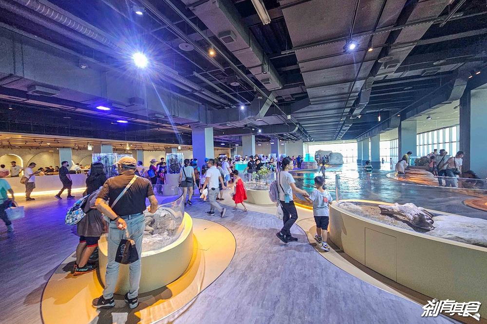 台中海洋館,中部首座水族館 開幕實逛心得、票價、必看景點、交通、附近景點懶人包 台中海洋館,中部首座水族館 開幕實逛心得、票價、必看景點、交通、附近景點懶人包