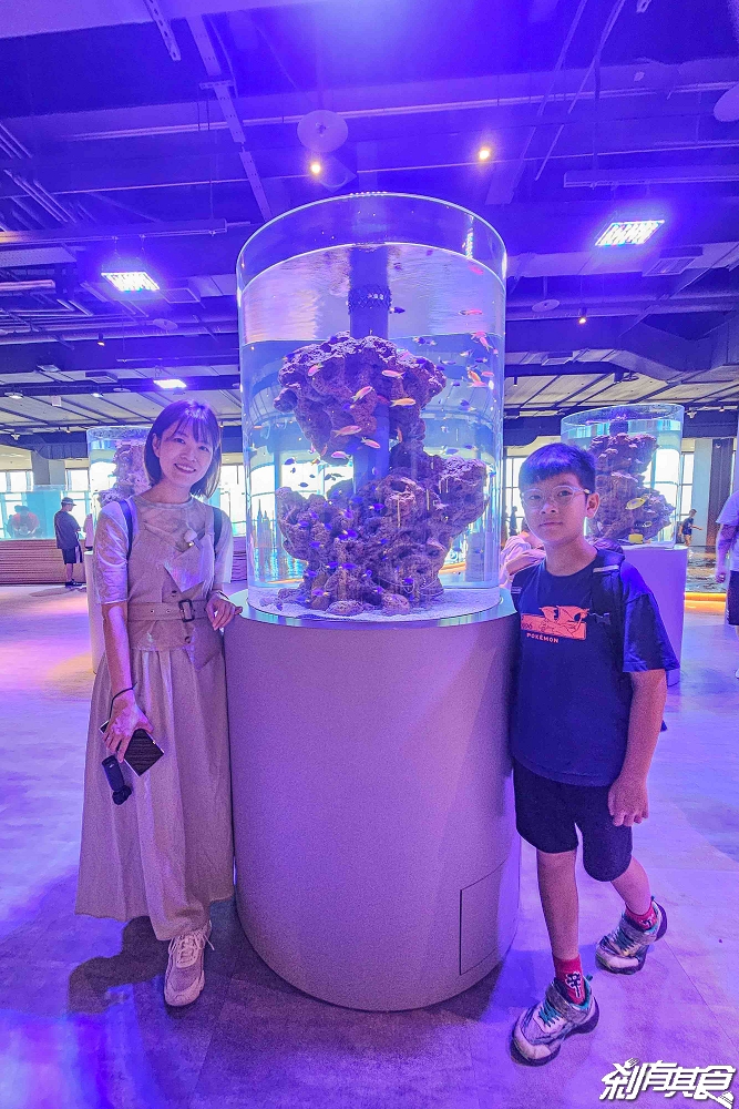 台中海洋館,中部首座水族館 開幕實逛心得、票價、必看景點、交通、附近景點懶人包 台中海洋館,中部首座水族館 開幕實逛心得、票價、必看景點、交通、附近景點懶人包