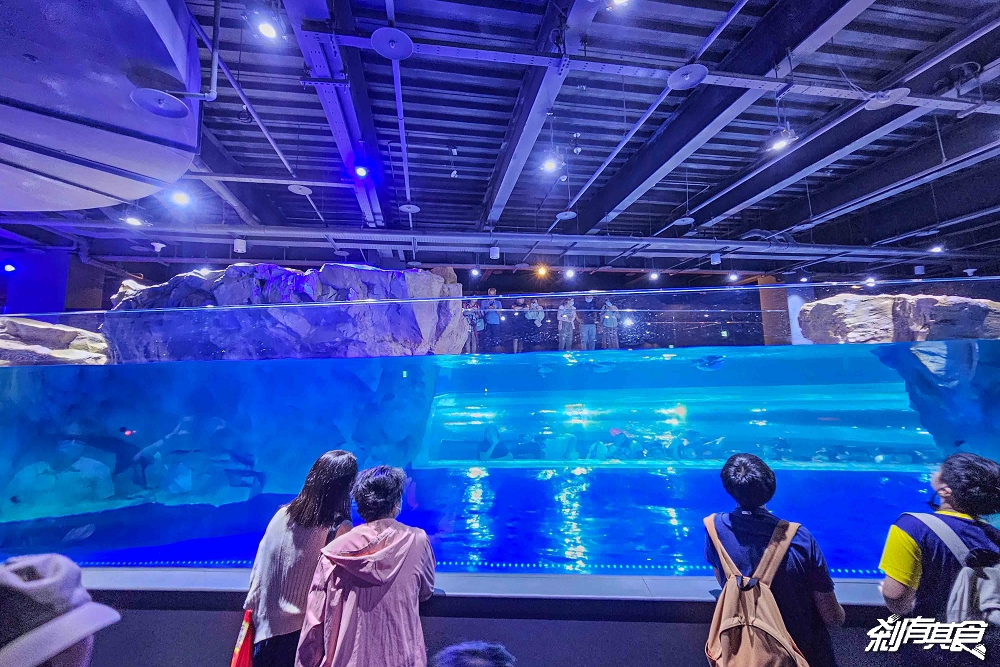 台中海洋館,中部首座水族館 開幕實逛心得、票價、必看景點、交通、附近景點懶人包 台中海洋館,中部首座水族館 開幕實逛心得、票價、必看景點、交通、附近景點懶人包