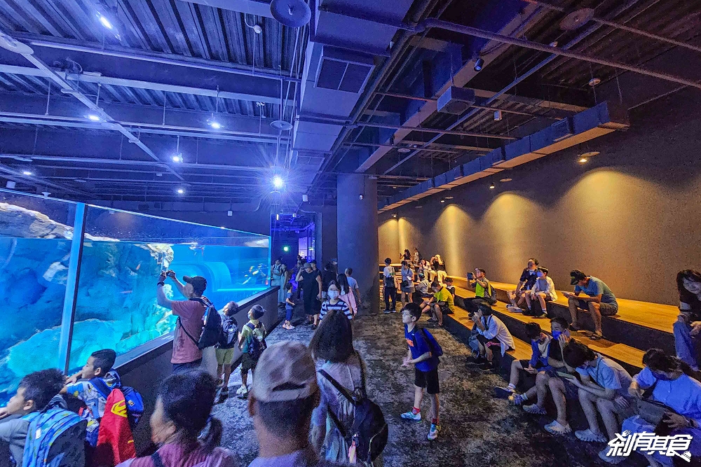 台中海洋館,中部首座水族館 開幕實逛心得、票價、必看景點、交通、附近景點懶人包 台中海洋館,中部首座水族館 開幕實逛心得、票價、必看景點、交通、附近景點懶人包