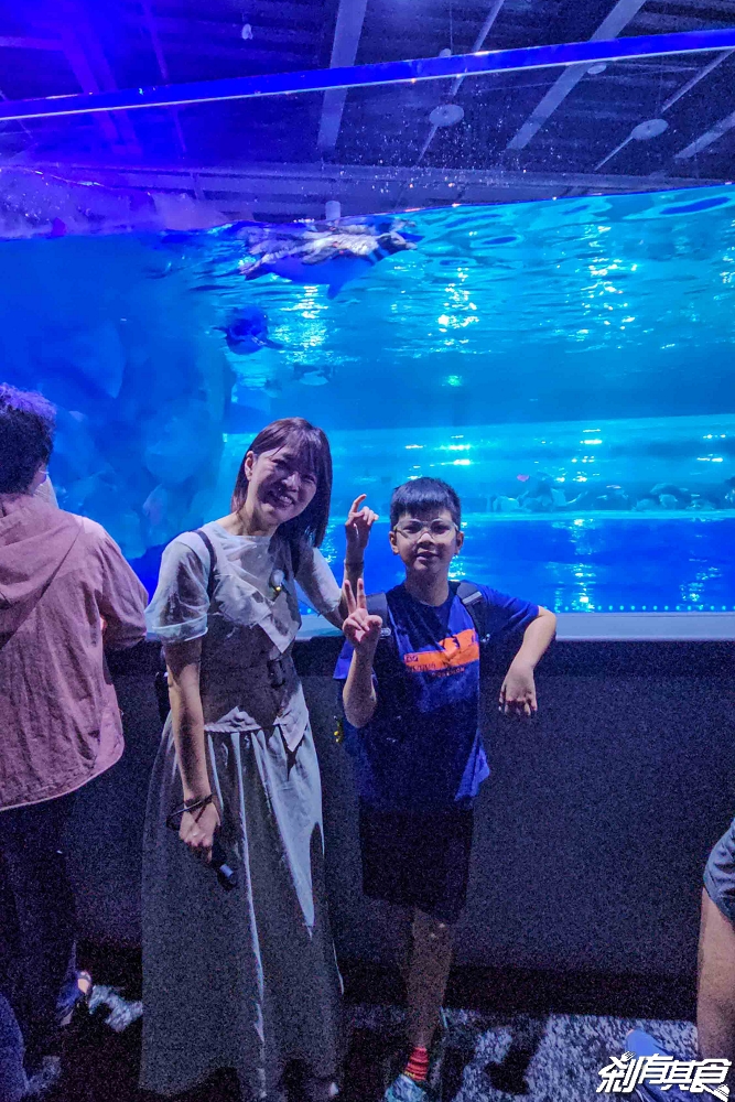 台中海洋館,中部首座水族館 開幕實逛心得、票價、必看景點、交通、附近景點懶人包 台中海洋館,中部首座水族館 開幕實逛心得、票價、必看景點、交通、附近景點懶人包
