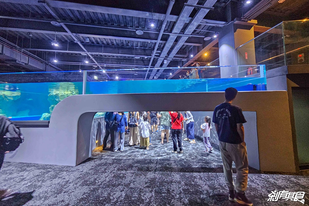 台中海洋館,中部首座水族館 開幕實逛心得、票價、必看景點、交通、附近景點懶人包 台中海洋館,中部首座水族館 開幕實逛心得、票價、必看景點、交通、附近景點懶人包