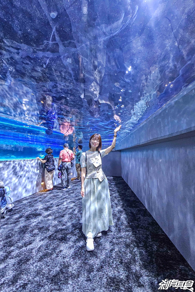 台中海洋館,中部首座水族館 開幕實逛心得、票價、必看景點、交通、附近景點懶人包 台中海洋館,中部首座水族館 開幕實逛心得、票價、必看景點、交通、附近景點懶人包