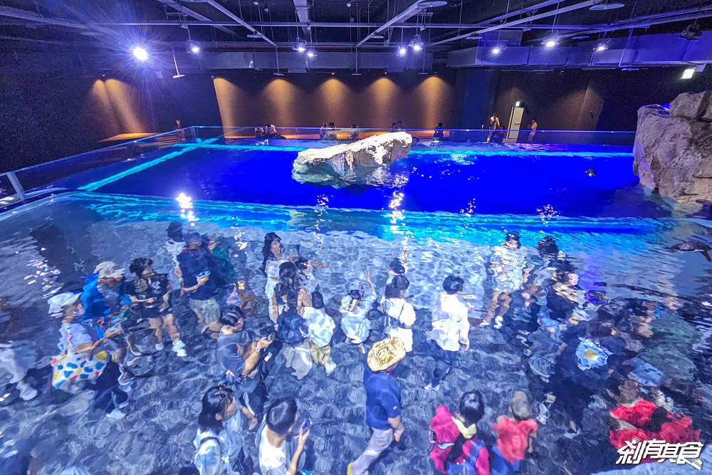 台中海洋館,中部首座水族館 開幕實逛心得、票價、必看景點、交通、附近景點懶人包 台中海洋館,中部首座水族館 開幕實逛心得、票價、必看景點、交通、附近景點懶人包