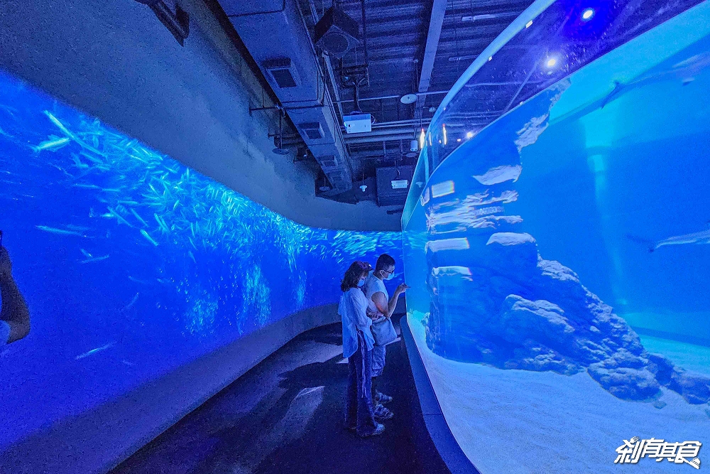 台中海洋館,中部首座水族館 開幕實逛心得、票價、必看景點、交通、附近景點懶人包 台中海洋館,中部首座水族館 開幕實逛心得、票價、必看景點、交通、附近景點懶人包