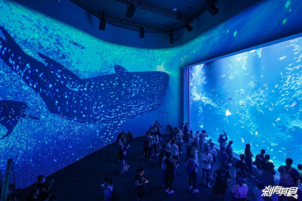 台中海洋館,中部首座水族館 開幕實逛心得、票價、必看景點、交通、附近景點懶人包 台中海洋館,中部首座水族館 開幕實逛心得、票價、必看景點、交通、附近景點懶人包