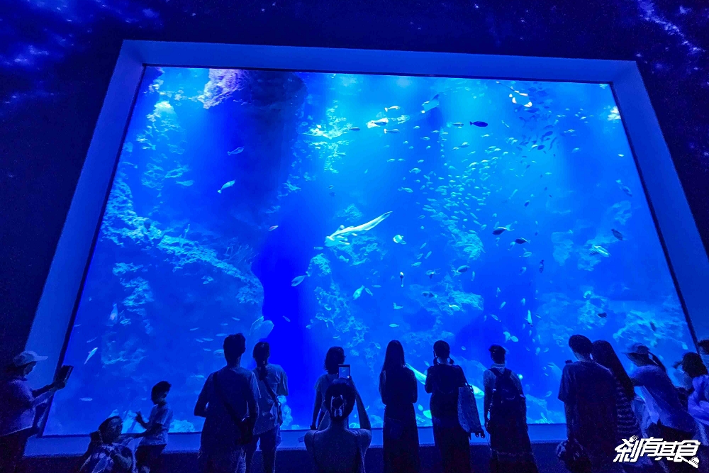 台中海洋館,中部首座水族館 開幕實逛心得、票價、必看景點、交通、附近景點懶人包 台中海洋館,中部首座水族館 開幕實逛心得、票價、必看景點、交通、附近景點懶人包