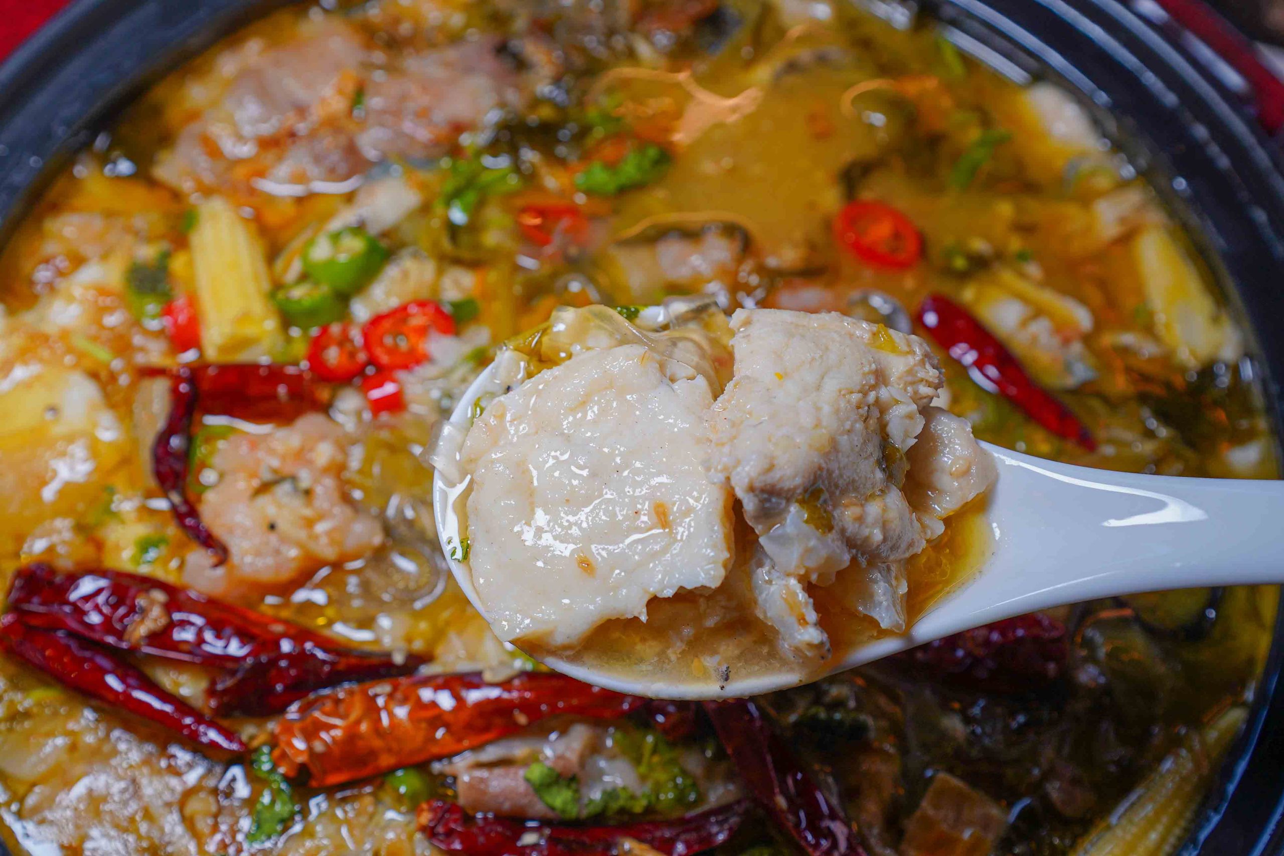 江魚美摩登中菜,台中西區美食,台中夜景餐廳「眺高」新品牌,「酸菜魚、麻婆豆腐蓋飯、黑糖燉奶」都是必點 江魚美摩登中菜,台中西區美食,台中夜景餐廳「眺高」新品牌,「酸菜魚、麻婆豆腐蓋飯、黑糖燉奶」都是必點