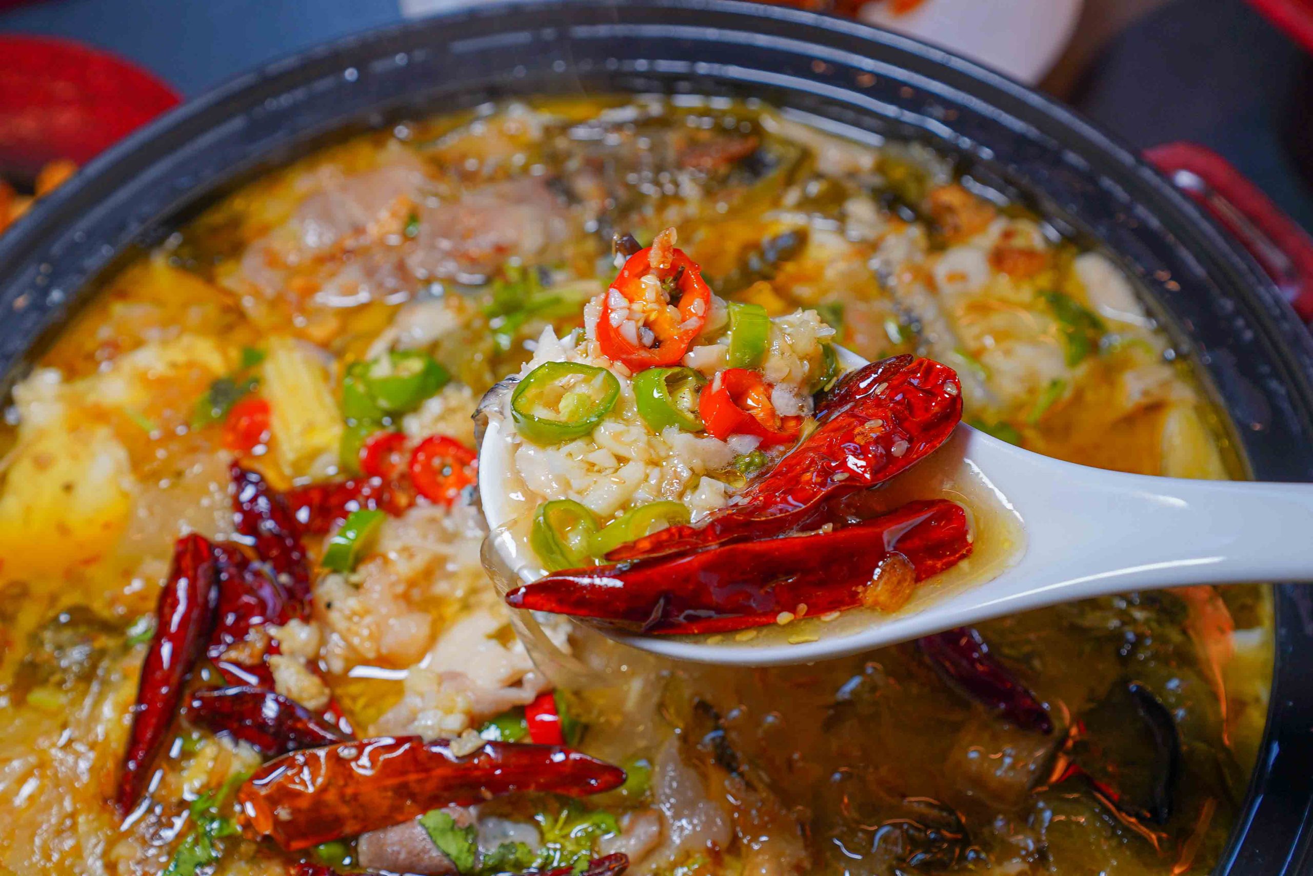 江魚美摩登中菜,台中西區美食,台中夜景餐廳「眺高」新品牌,「酸菜魚、麻婆豆腐蓋飯、黑糖燉奶」都是必點 江魚美摩登中菜,台中西區美食,台中夜景餐廳「眺高」新品牌,「酸菜魚、麻婆豆腐蓋飯、黑糖燉奶」都是必點