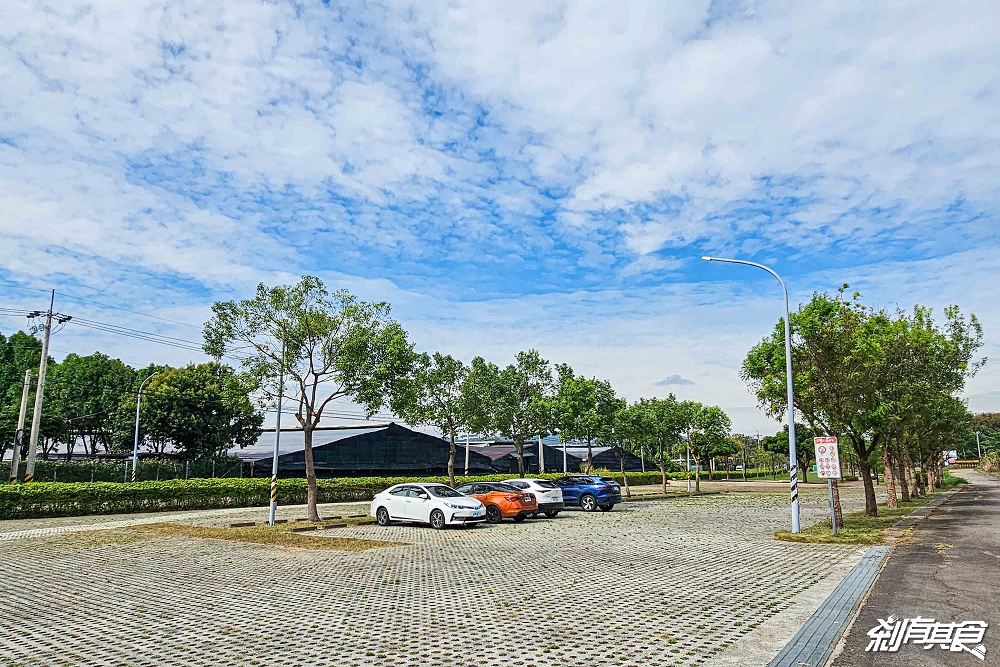 2025新社花海 台中花毯節《飛天小女警》主題超萌登場、交通管制、接駁車怎麼搭、表演節目表