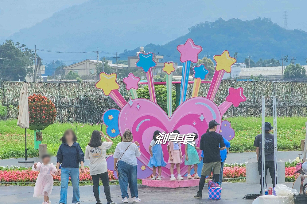 2025新社花海 台中花毯節《飛天小女警》主題超萌登場、交通管制、接駁車怎麼搭、表演節目表