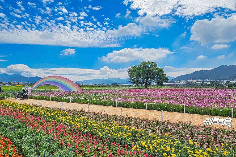 2025新社花海 台中花毯節《飛天小女警》主題超萌登場、交通管制、接駁車怎麼搭、表演節目表