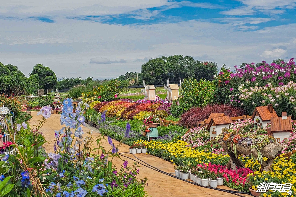 2025新社花海 台中花毯節《飛天小女警》主題超萌登場、交通管制、接駁車怎麼搭、表演節目表