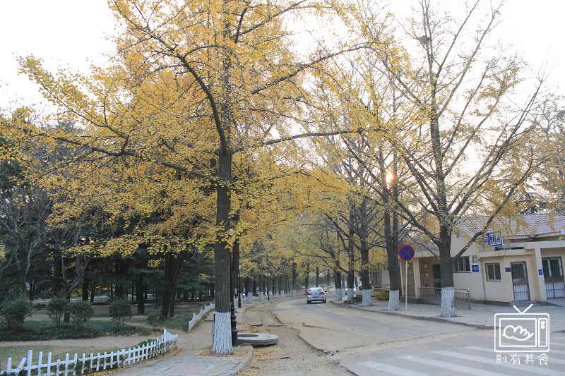 CIMG_2601.jpg CIMG_2601.jpg