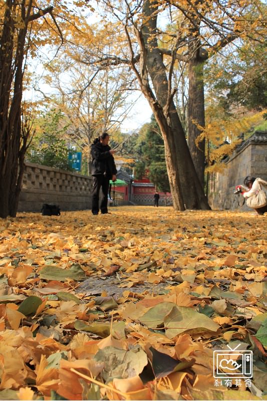 CIMG_2836.jpg CIMG_2836.jpg