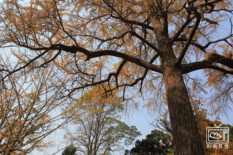 CIMG_2843.jpg CIMG_2843.jpg